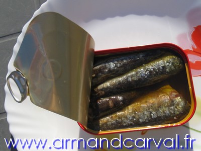 Conserves de sardines