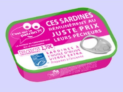 Sardines