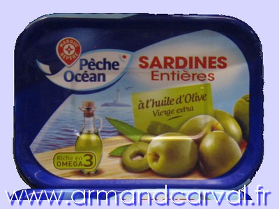 Sardines Pêche Océan