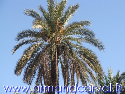 Sjour au Maroc