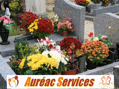 Aurac Services